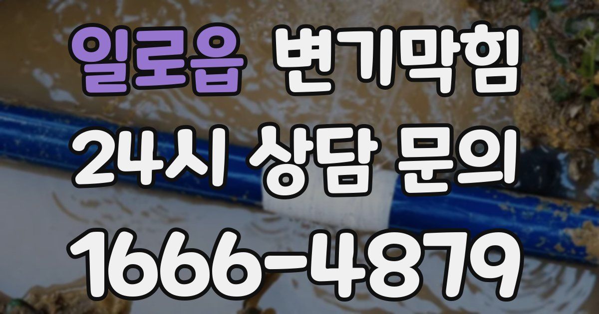 일로읍 변기