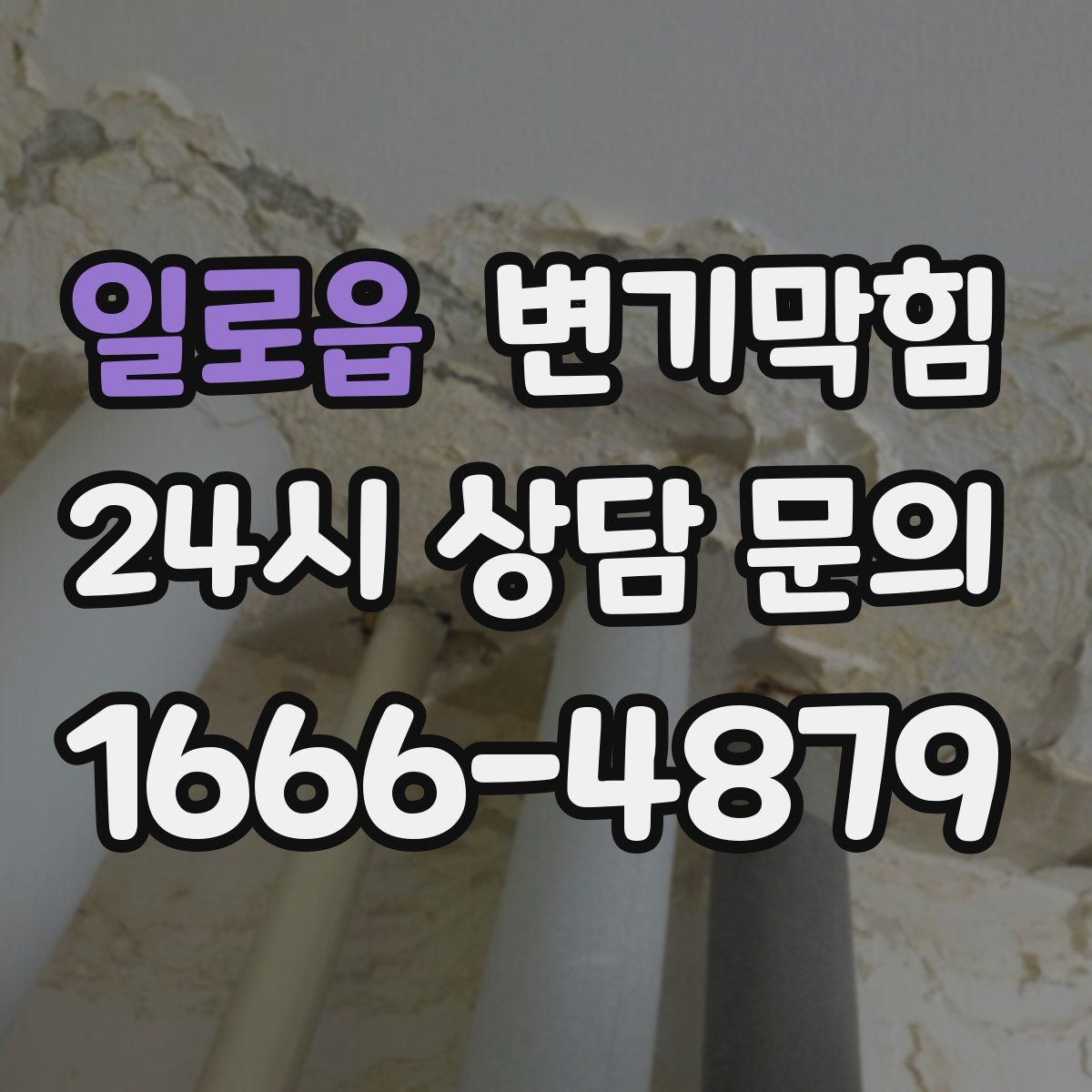 일로읍 변기막힘