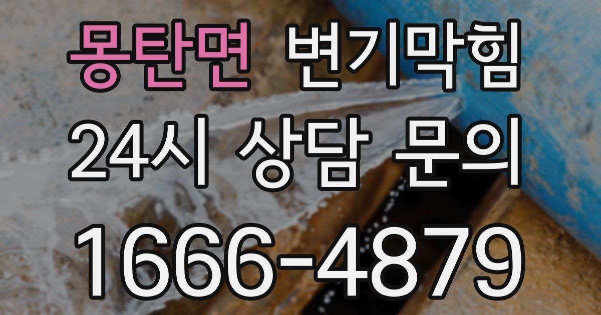 몽탄면 변기