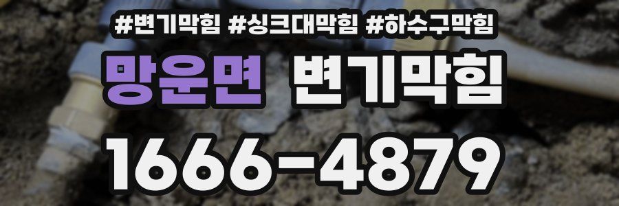 변기막힘