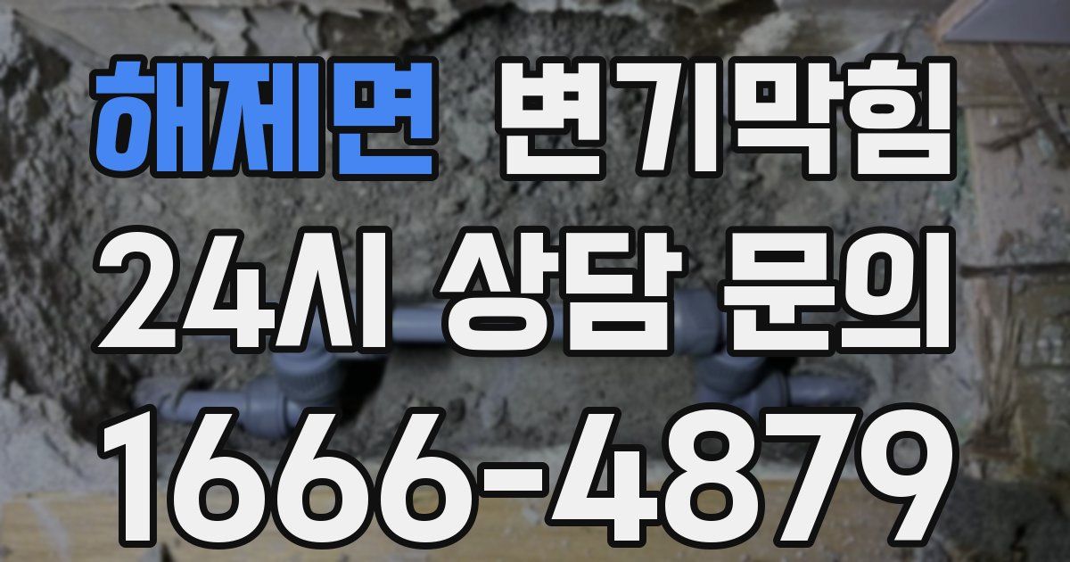해제면 변기