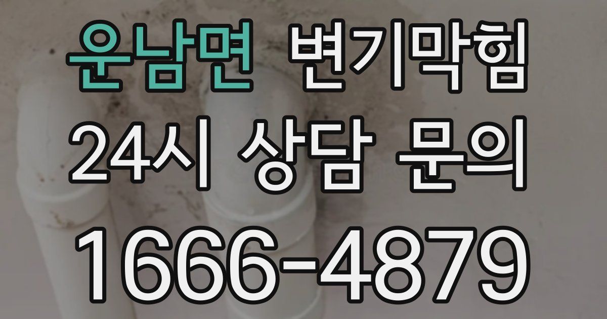 운남면 변기