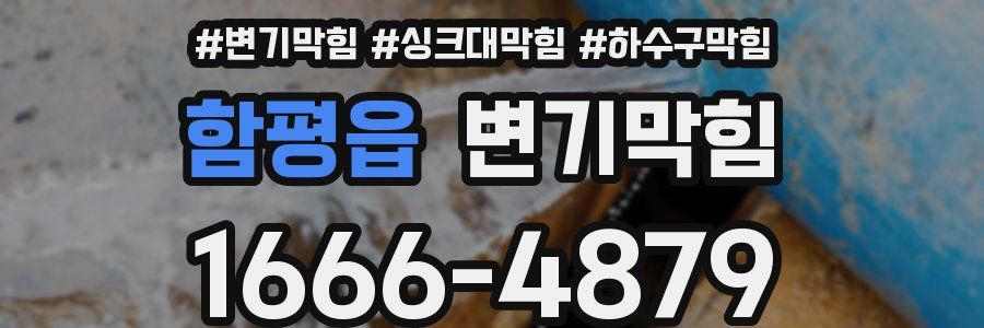 변기막힘