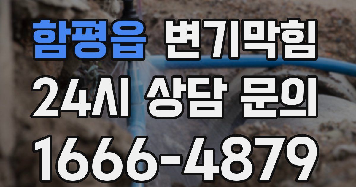 함평읍 변기