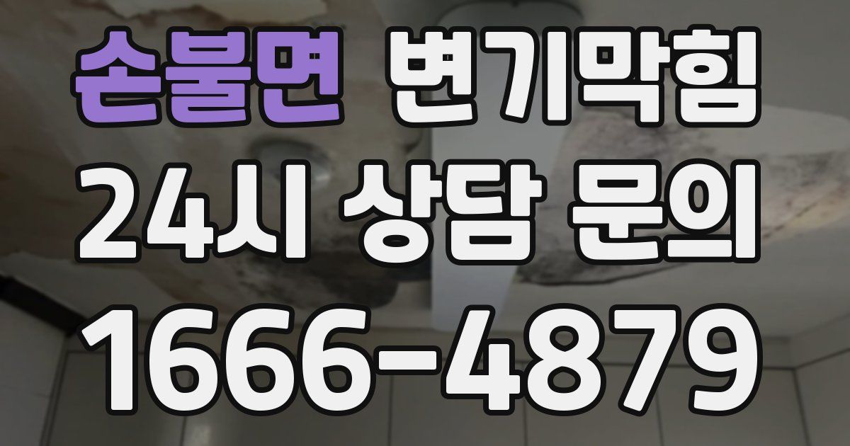 손불면 변기