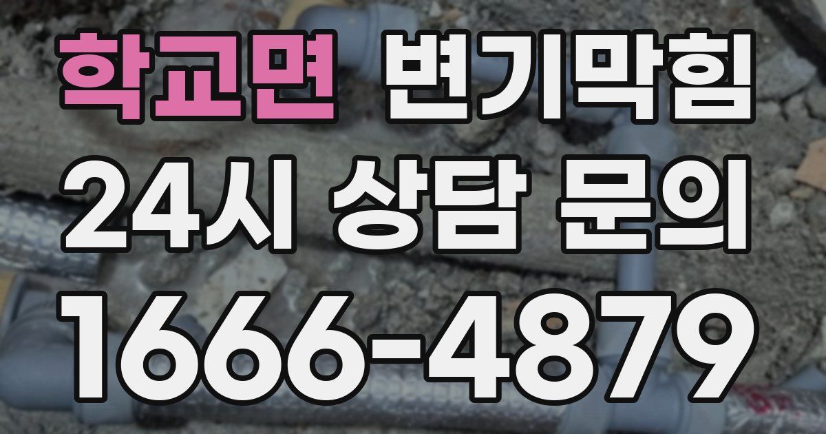 학교면 변기