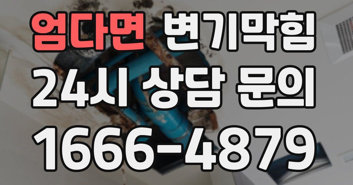 엄다면 변기
