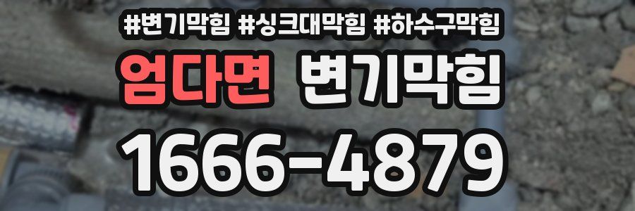 변기막힘