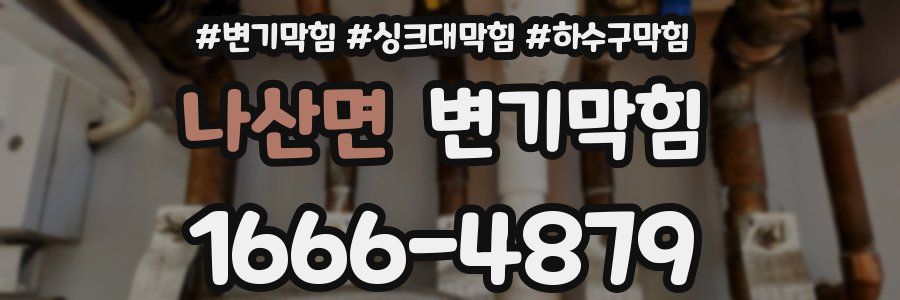 변기막힘