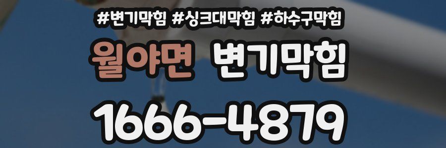 변기막힘