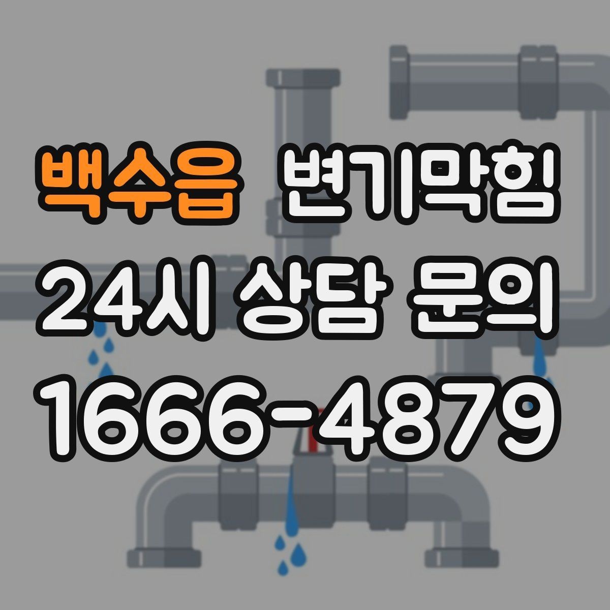 백수읍 변기막힘 변기 막혔을 때 냄새만 날 때의 해석