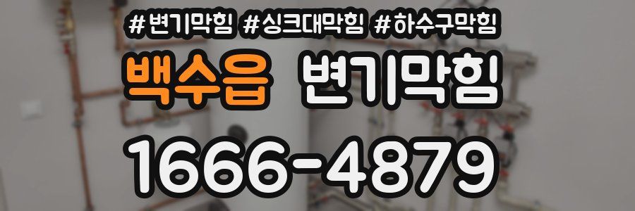 변기막힘