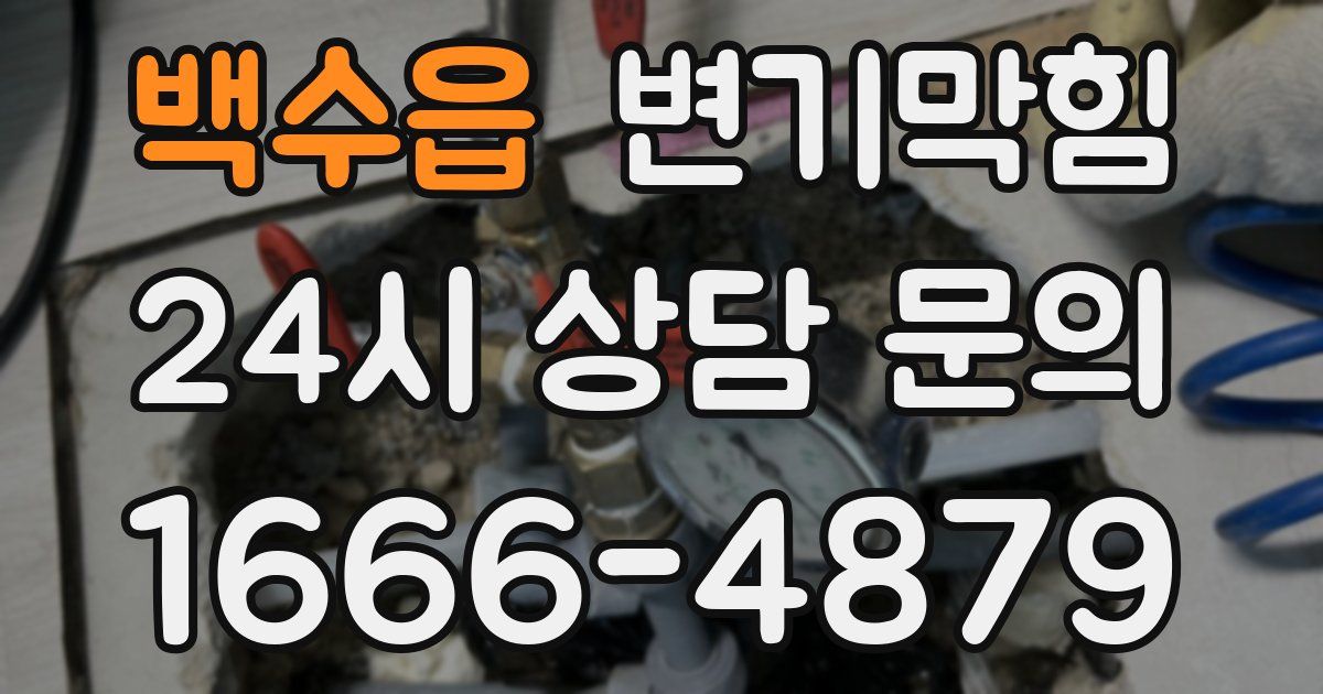 백수읍 변기