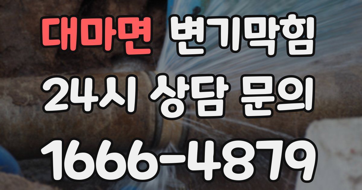 대마면 변기