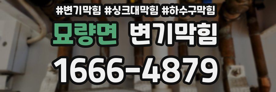 변기막힘