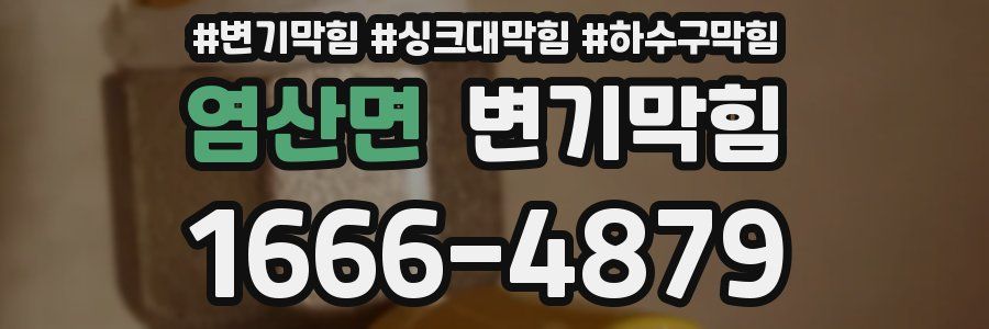 변기막힘