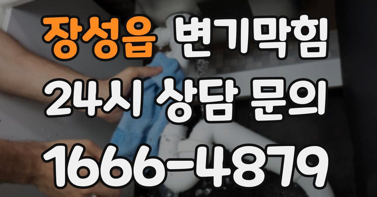 장성읍 변기