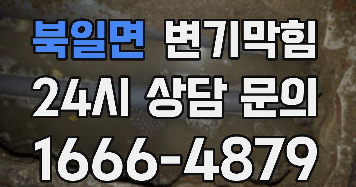 북일면 변기