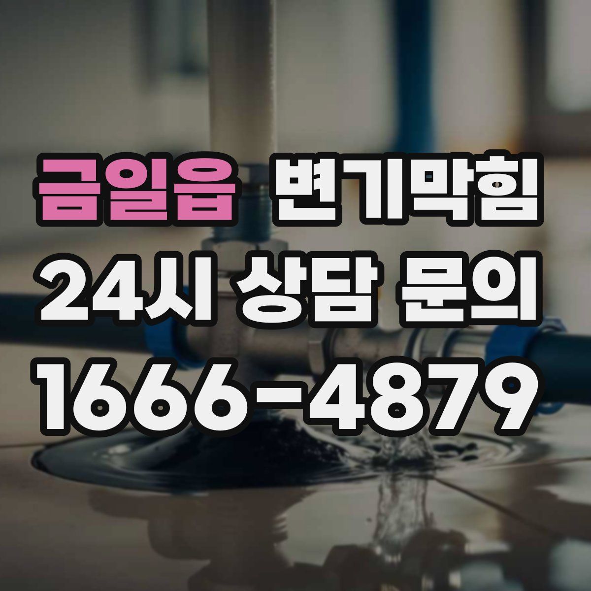 금일읍 변기막힘