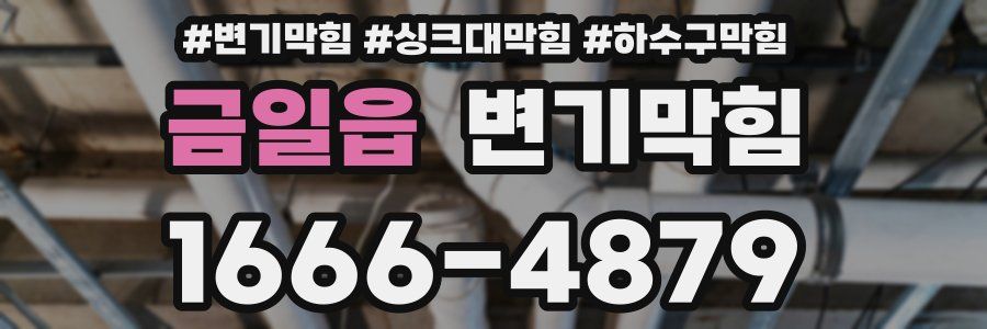 변기막힘