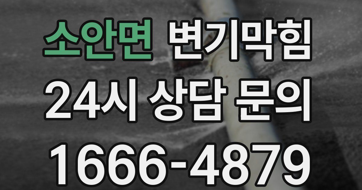 소안면 변기