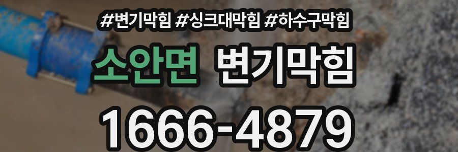변기막힘