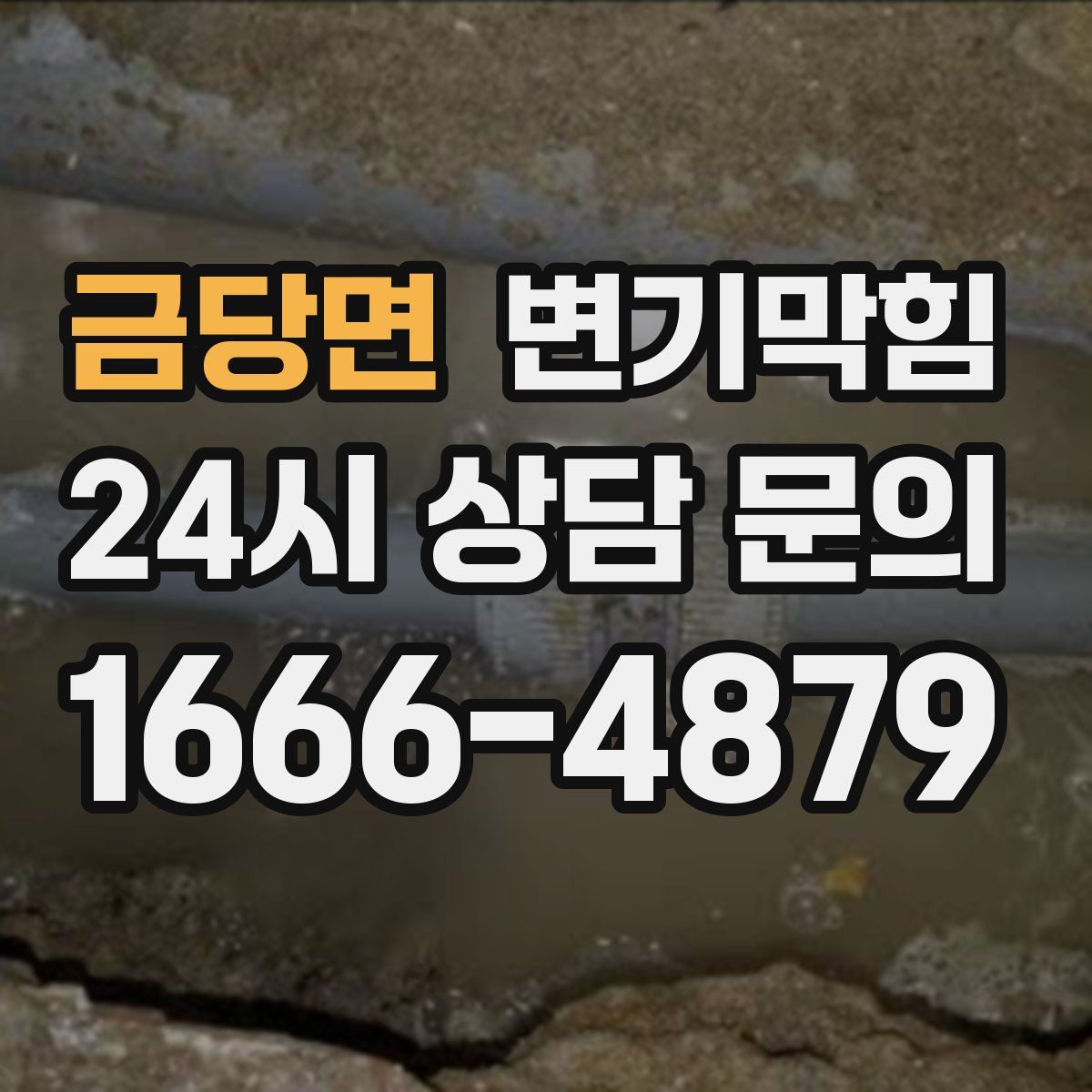 금당면 변기막힘