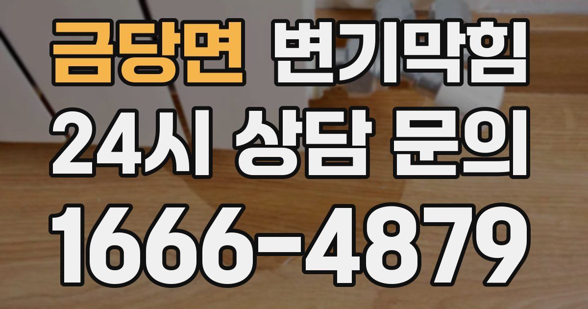 금당면 변기