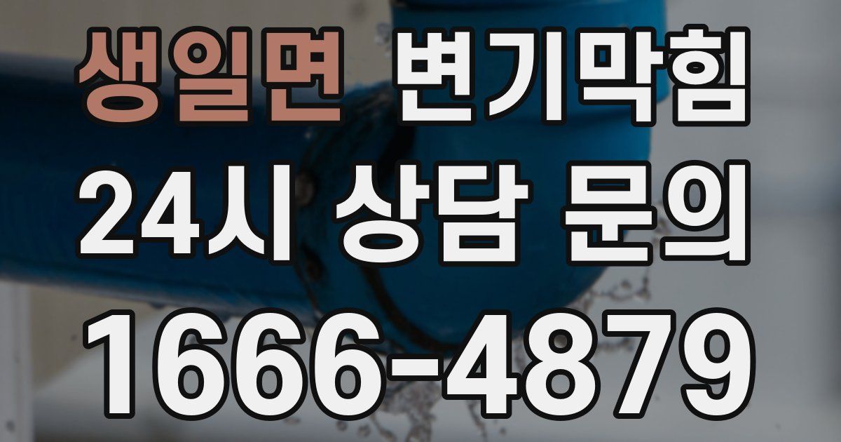 생일면 변기
