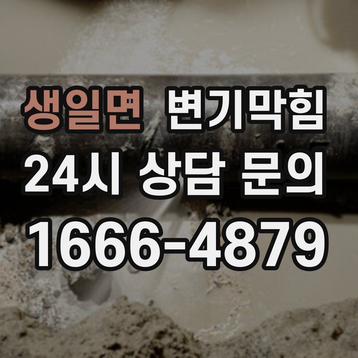 생일면 변기막힘