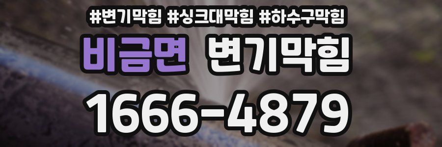 변기막힘