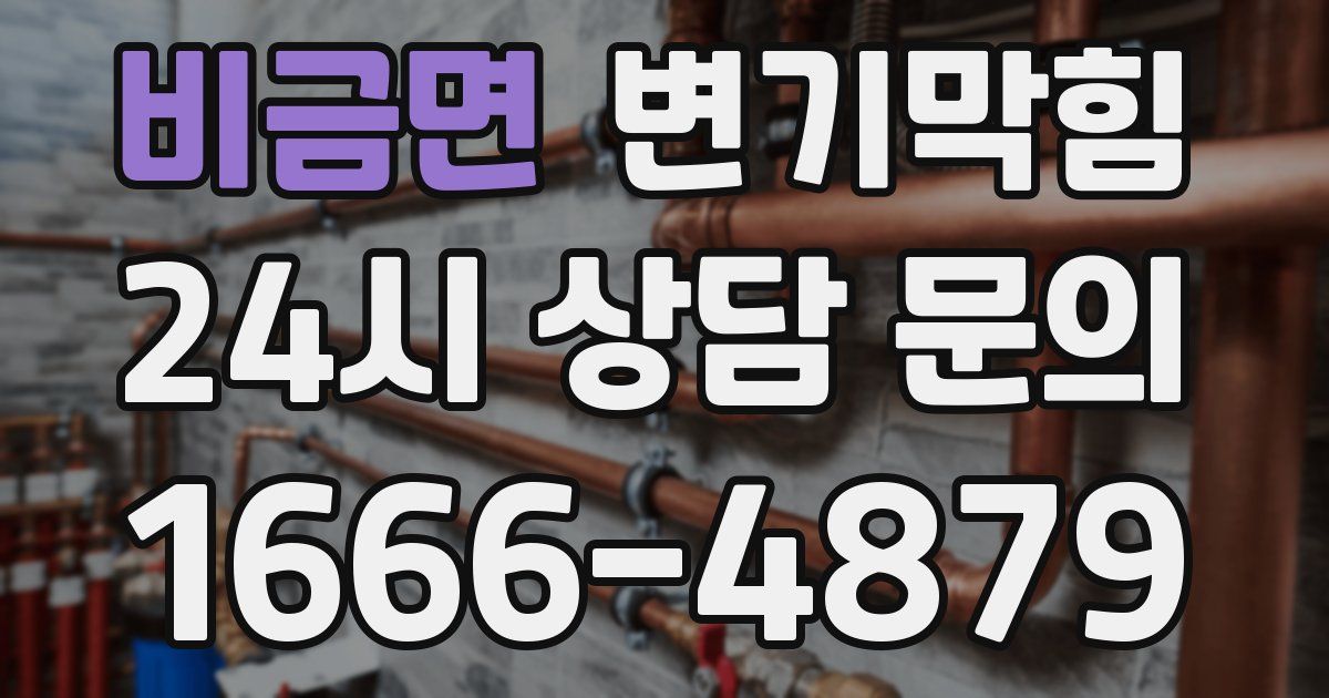 비금면 변기