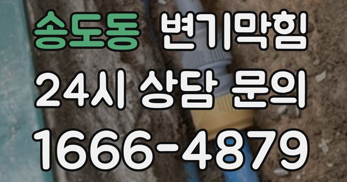 송도동 변기