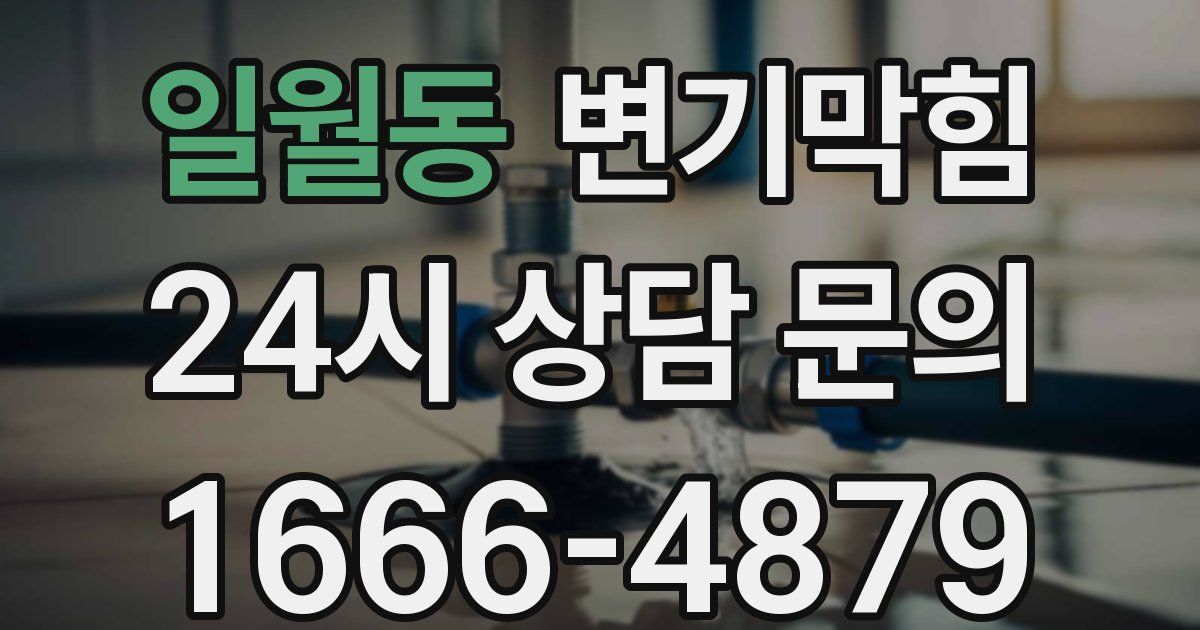 일월동 변기