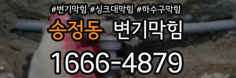 변기막힘