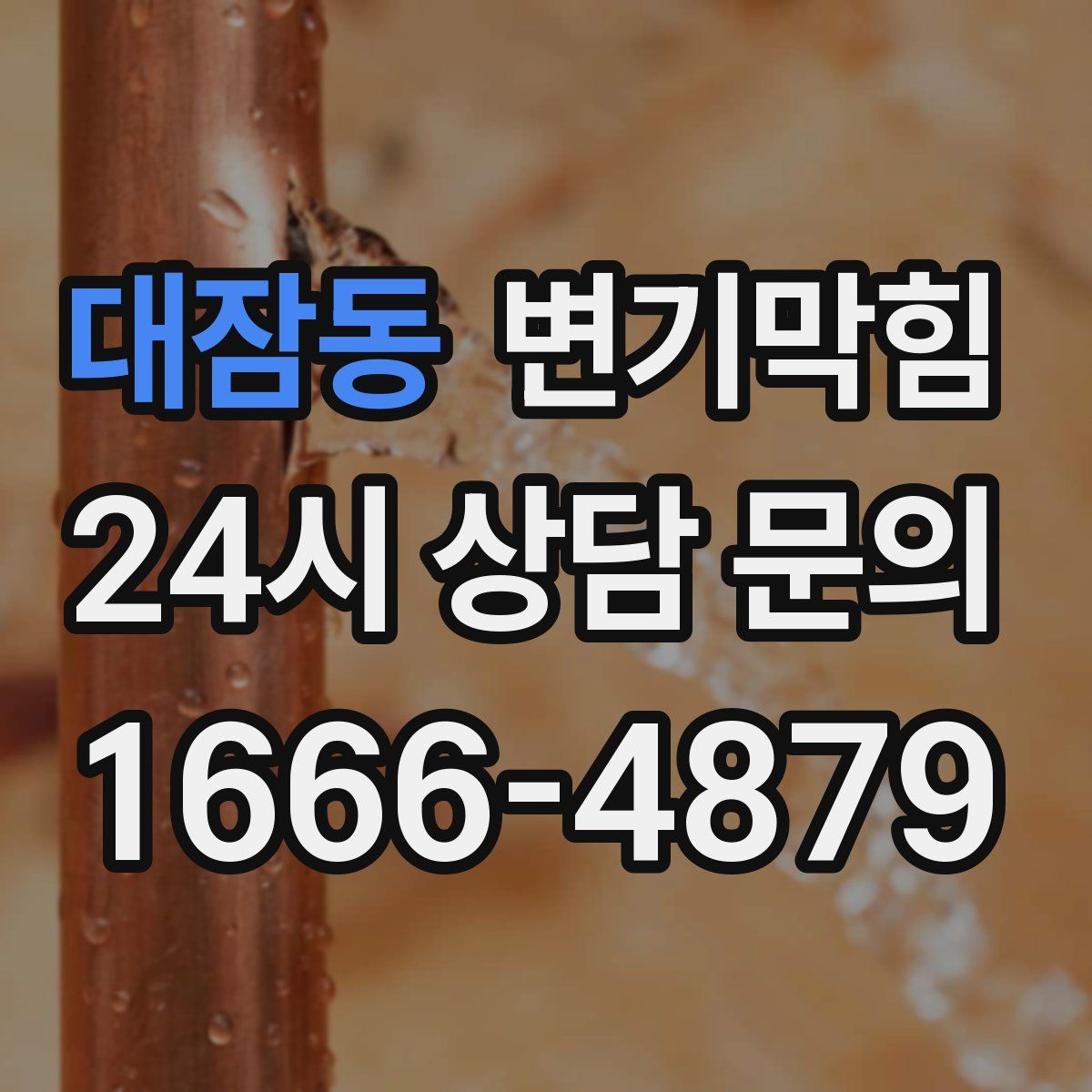 대잠동 변기막힘