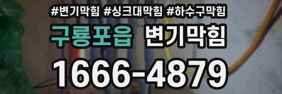 변기막힘