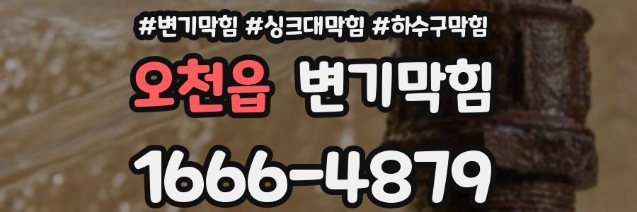 변기막힘