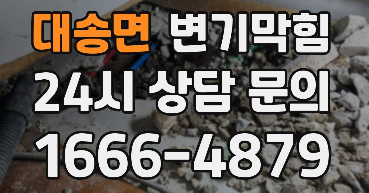 대송면 변기