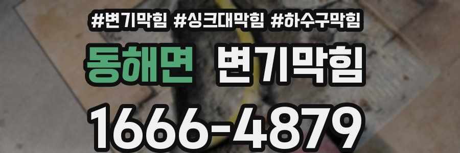 변기막힘