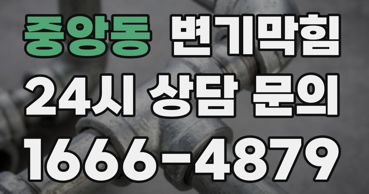 중앙동 변기
