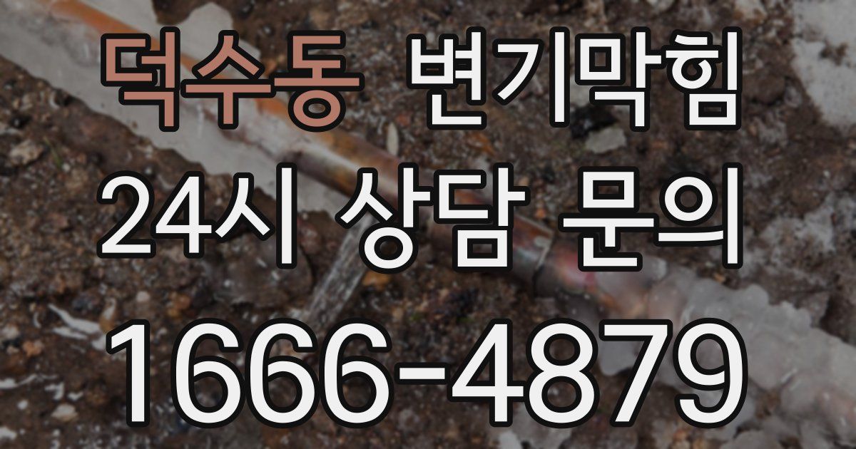 덕수동 변기