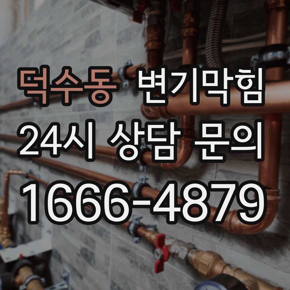 덕수동 변기막힘