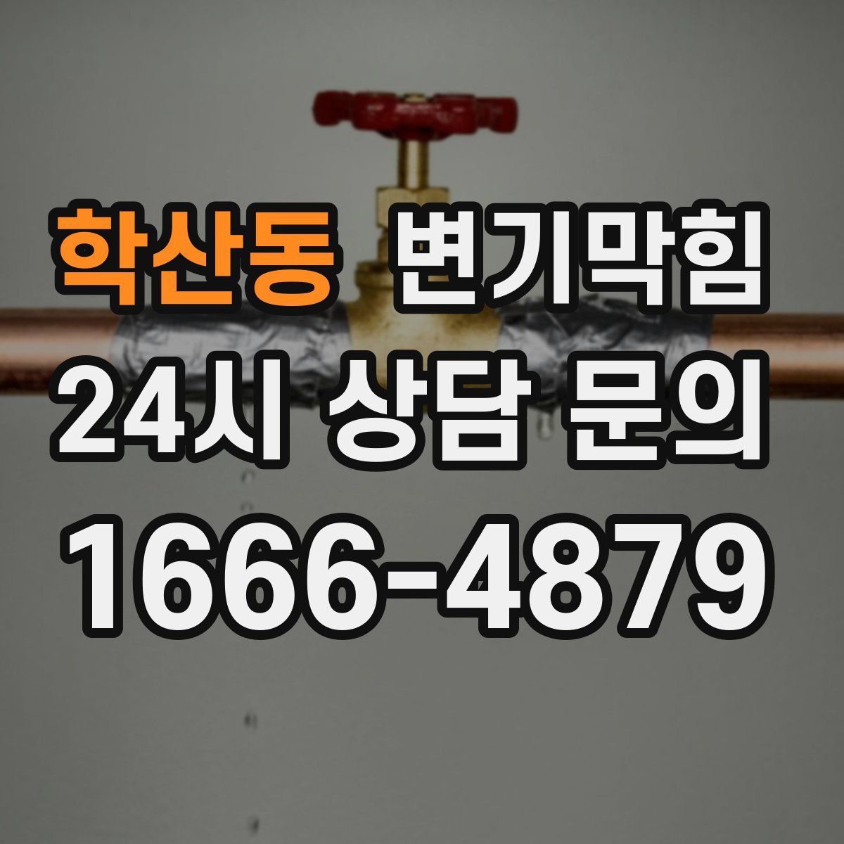 학산동 변기막힘