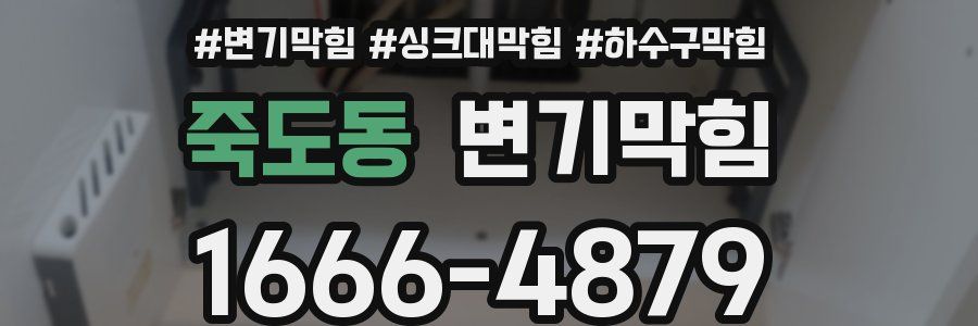 변기막힘