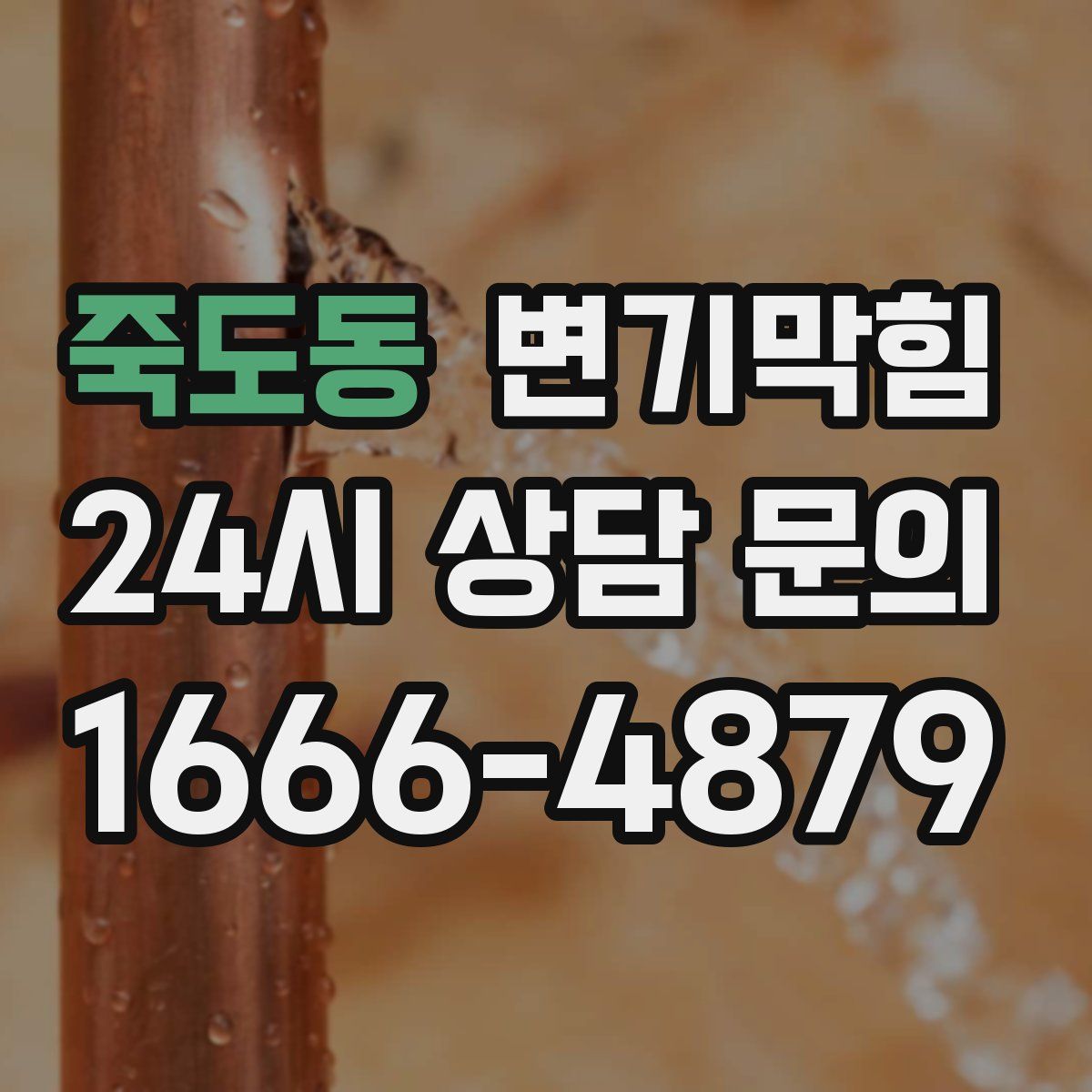 죽도동 변기막힘