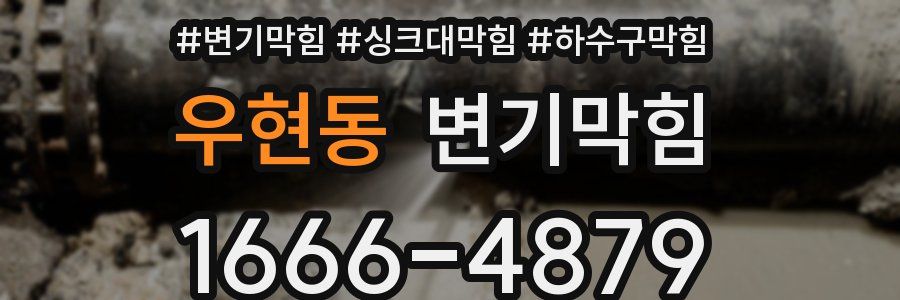 변기막힘
