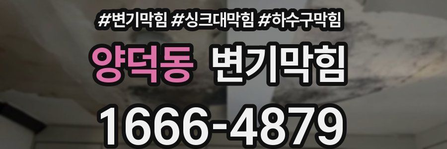변기막힘