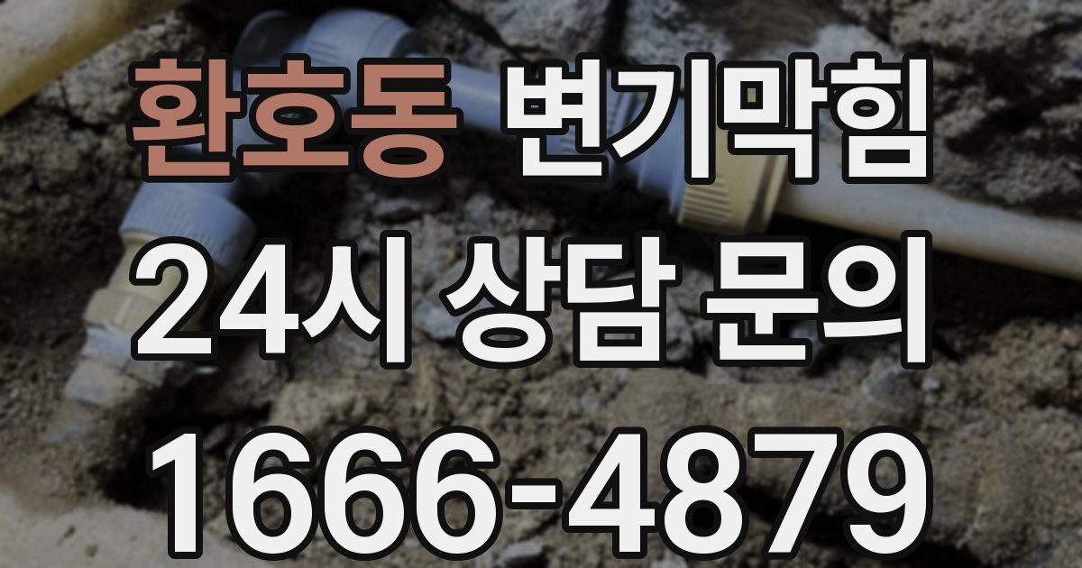 환호동 변기