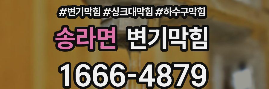 변기막힘